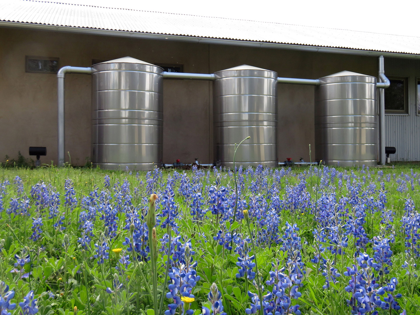 3---400-SS-Lake-Somer